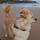 Kimba familia de Bea