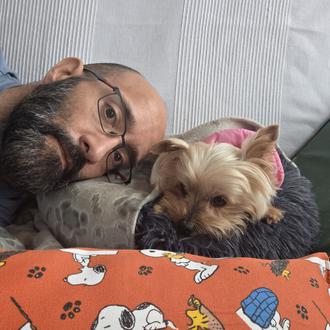 Foto de Leonor, hembra y de raza Yorkshire Terrier