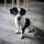 Zoe familia de Ester