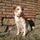 Lucy familia de Carmen
