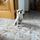 Cloe hermano de Chimuelo