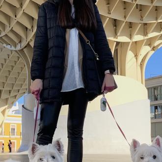 Foto de Ella/Nala, hembra y de raza Westie Terrier