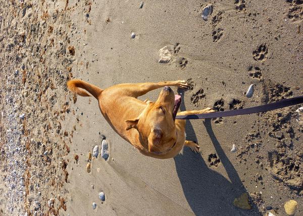 gallery-active-img