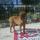 LUNA familia de Bandoleroo