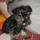 Tuercas familia de Aliena_86