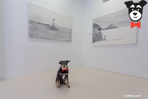 gallery-active-img
