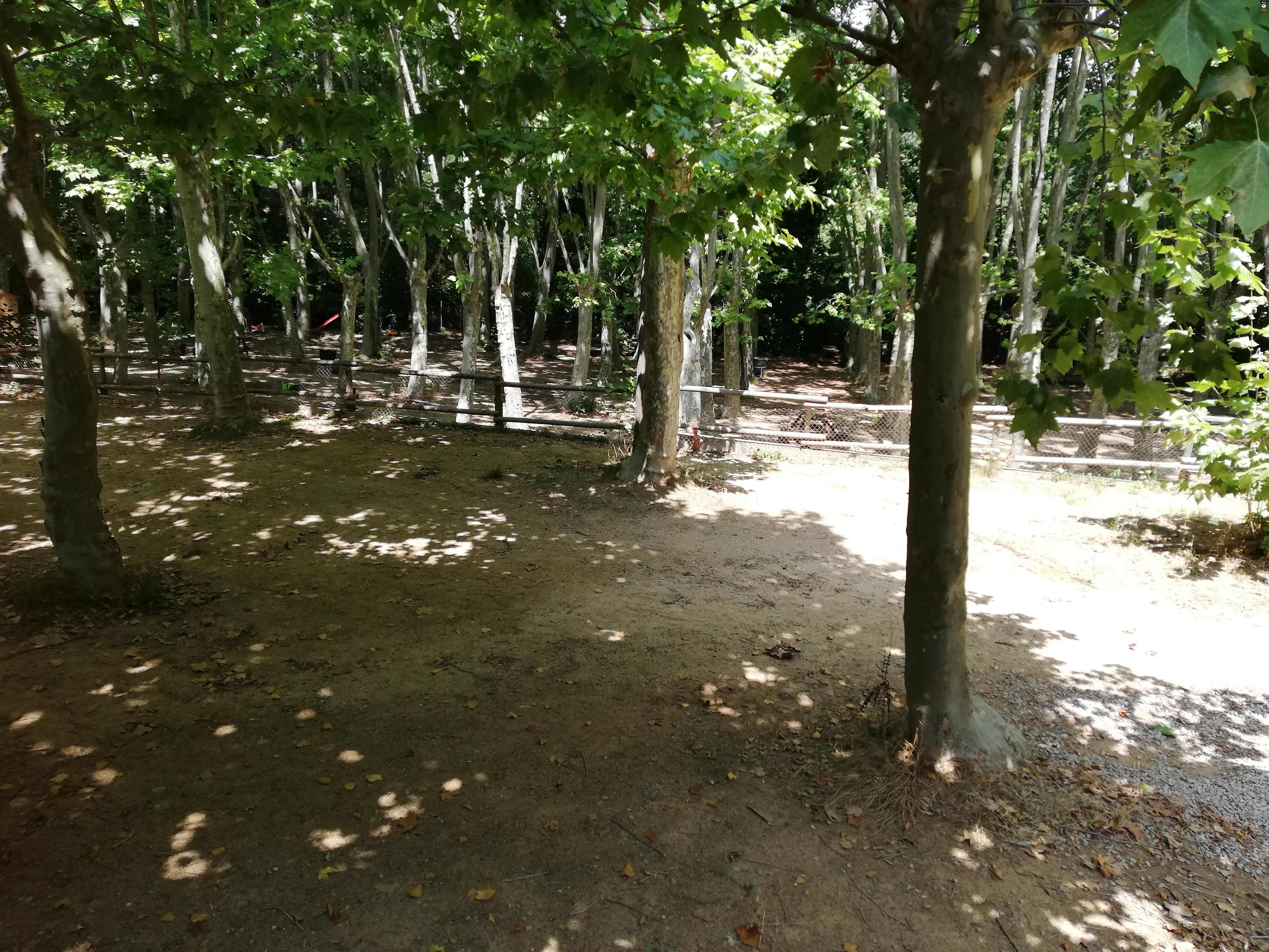 gallery-active-img