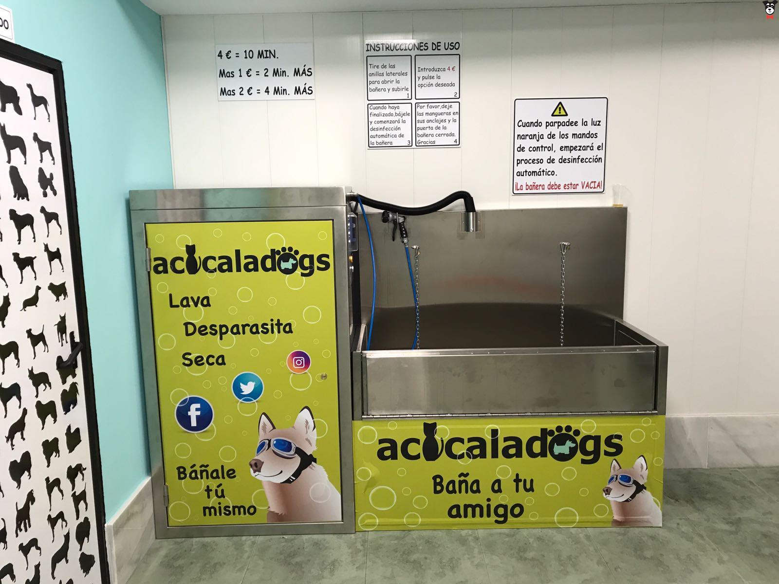 gallery-active-img
