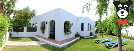 gallery-active-img