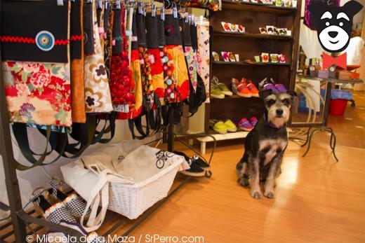gallery-active-img
