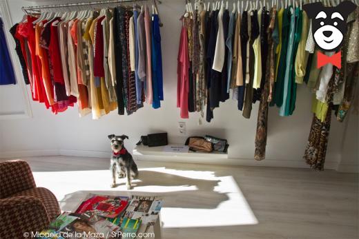 gallery-active-img