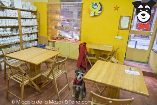 gallery-active-img