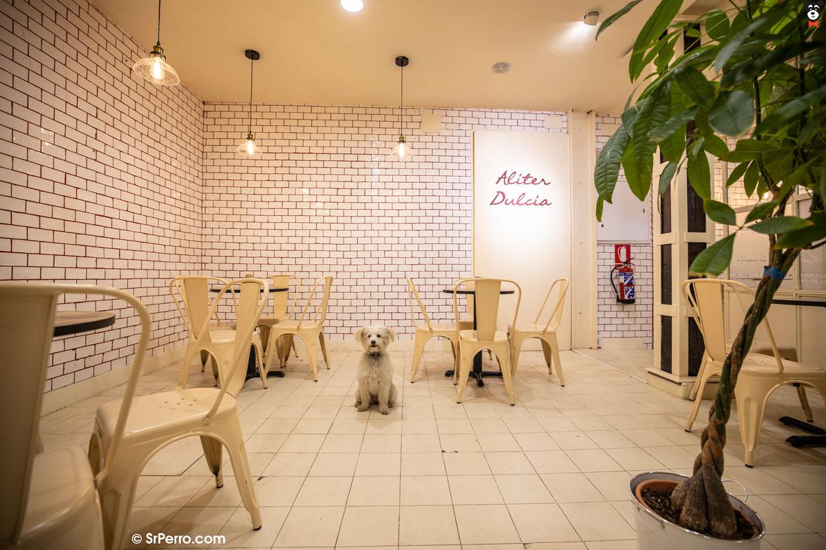 gallery-active-img