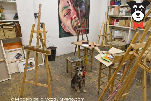 gallery-active-img