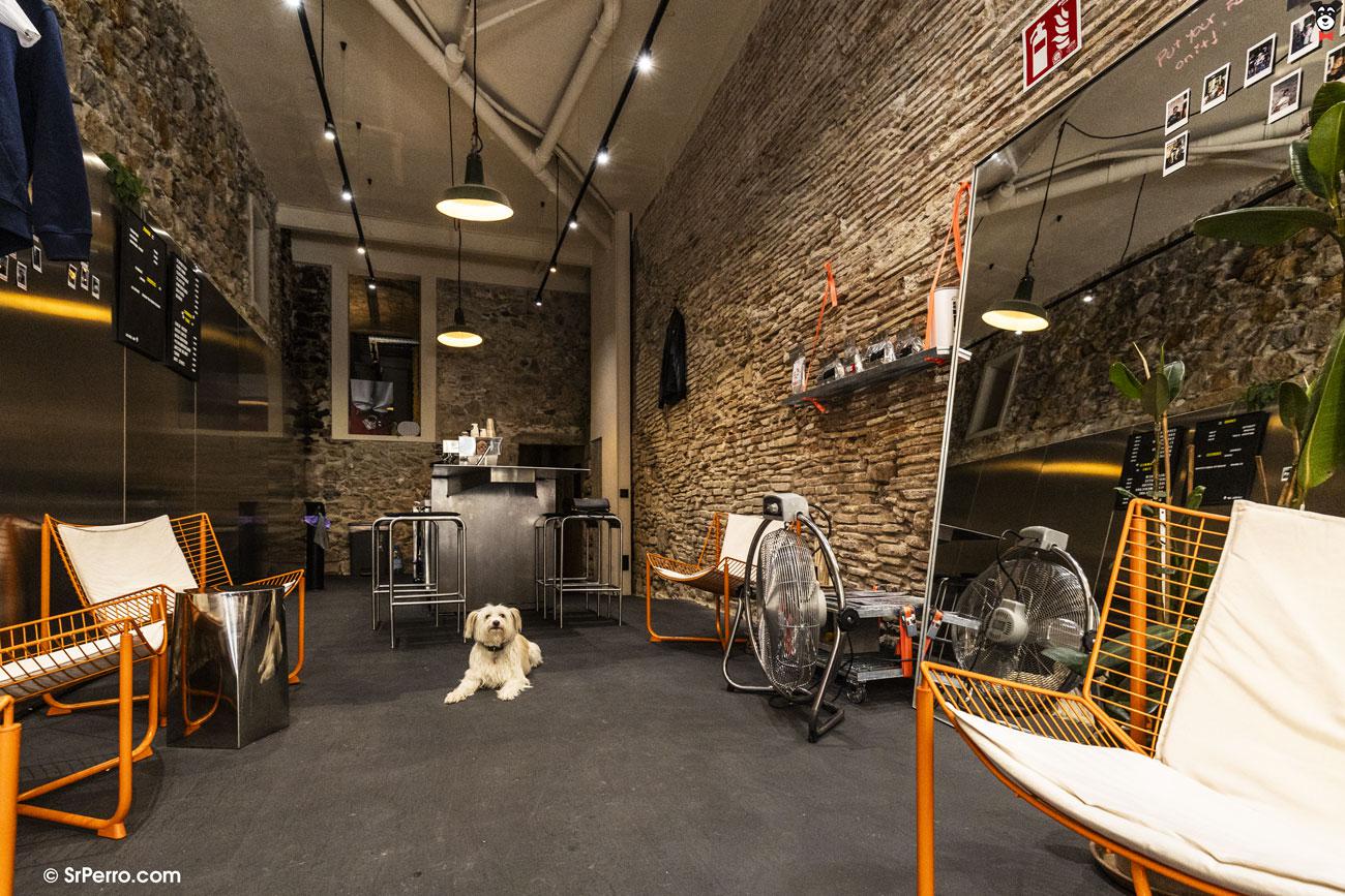 gallery-active-img