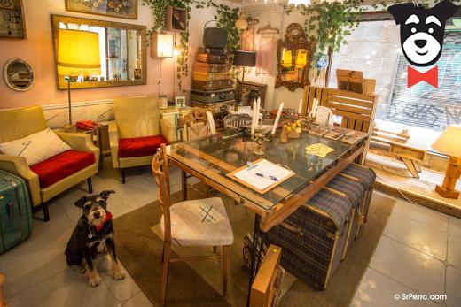 gallery-active-img