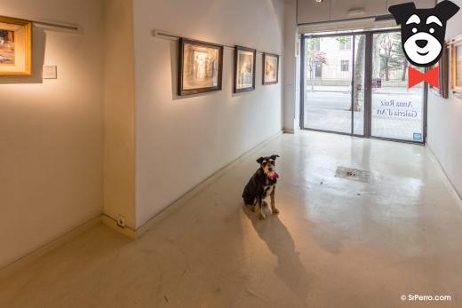 gallery-active-img