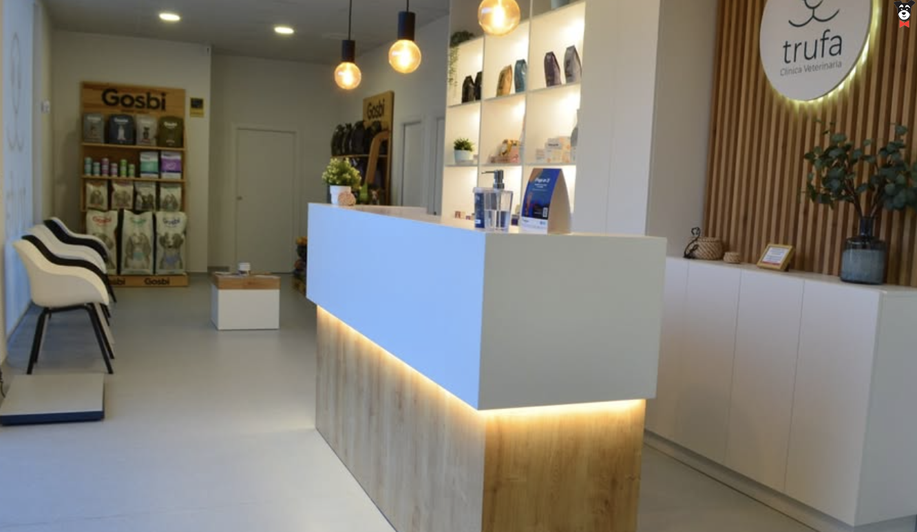 gallery-active-img