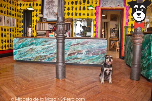gallery-active-img