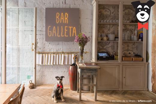 gallery-active-img