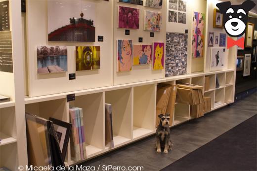 gallery-active-img