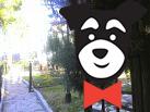 gallery-active-img