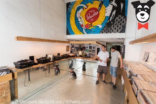 gallery-active-img
