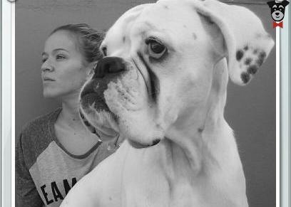 PetBooking.es | SrPerro.com, la guía para animales urbanos.