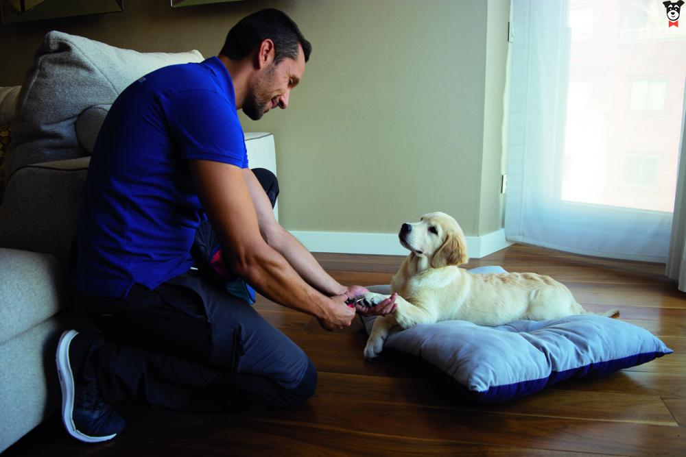 gallery-active-img