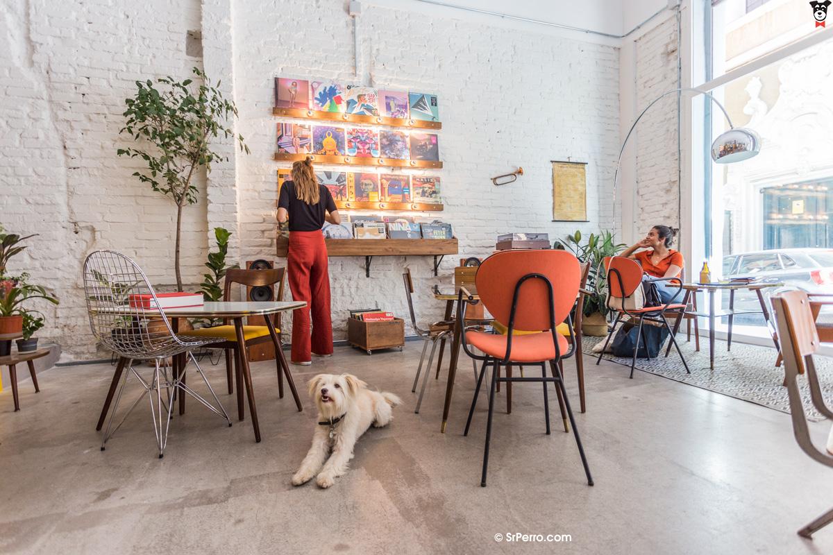 gallery-active-img