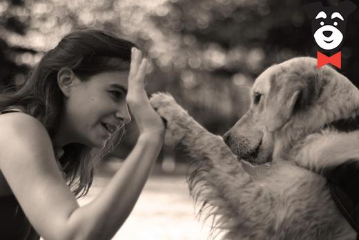 gallery-active-img