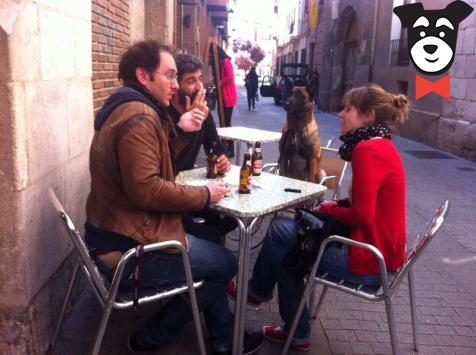 gallery-active-img