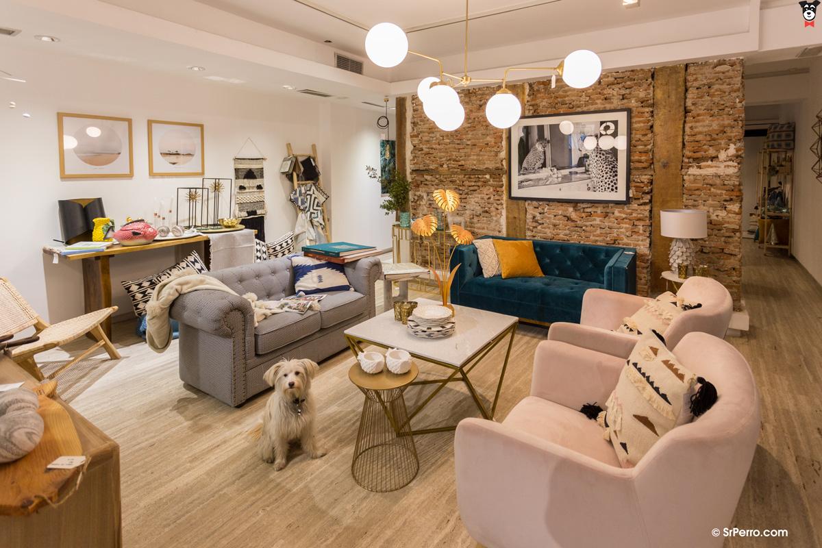 gallery-active-img