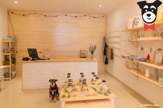 gallery-active-img