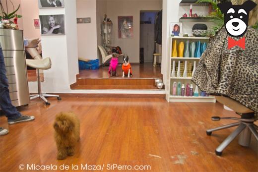 gallery-active-img