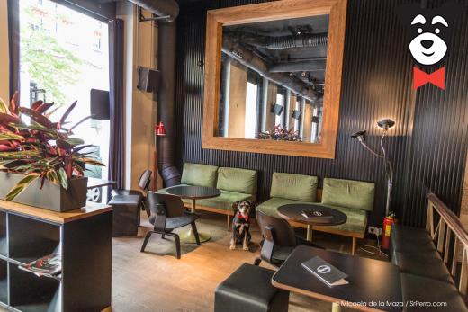 gallery-active-img
