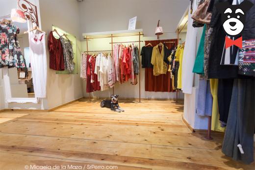 gallery-active-img