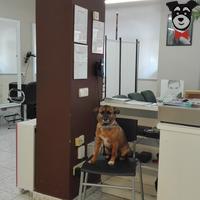 imagen de negocio