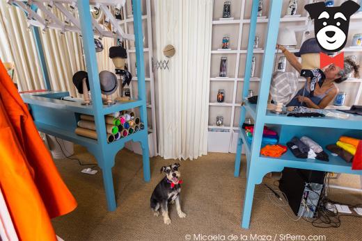 gallery-active-img