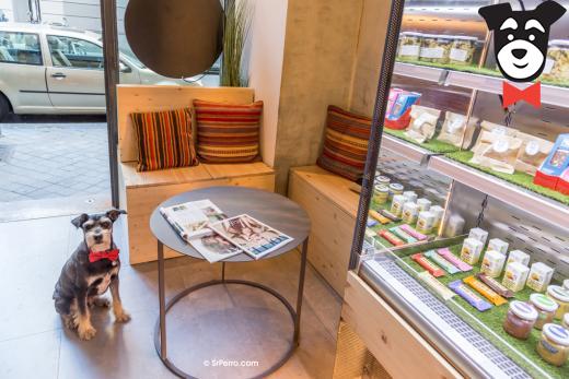gallery-active-img