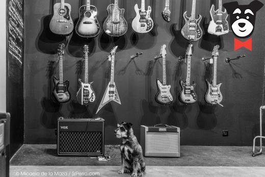 gallery-active-img