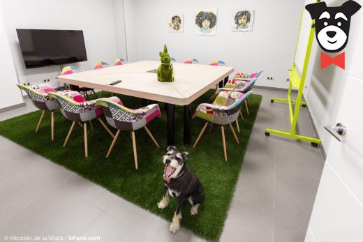 gallery-active-img