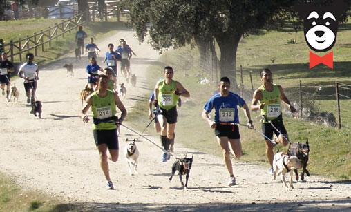 gallery-active-img