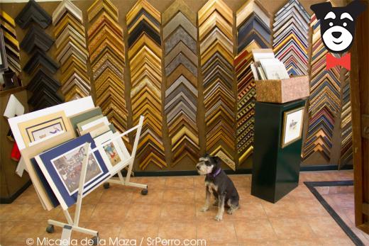 gallery-active-img