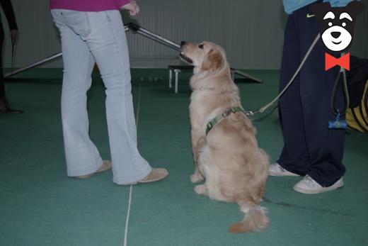 gallery-active-img