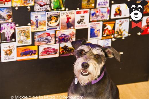 gallery-active-img