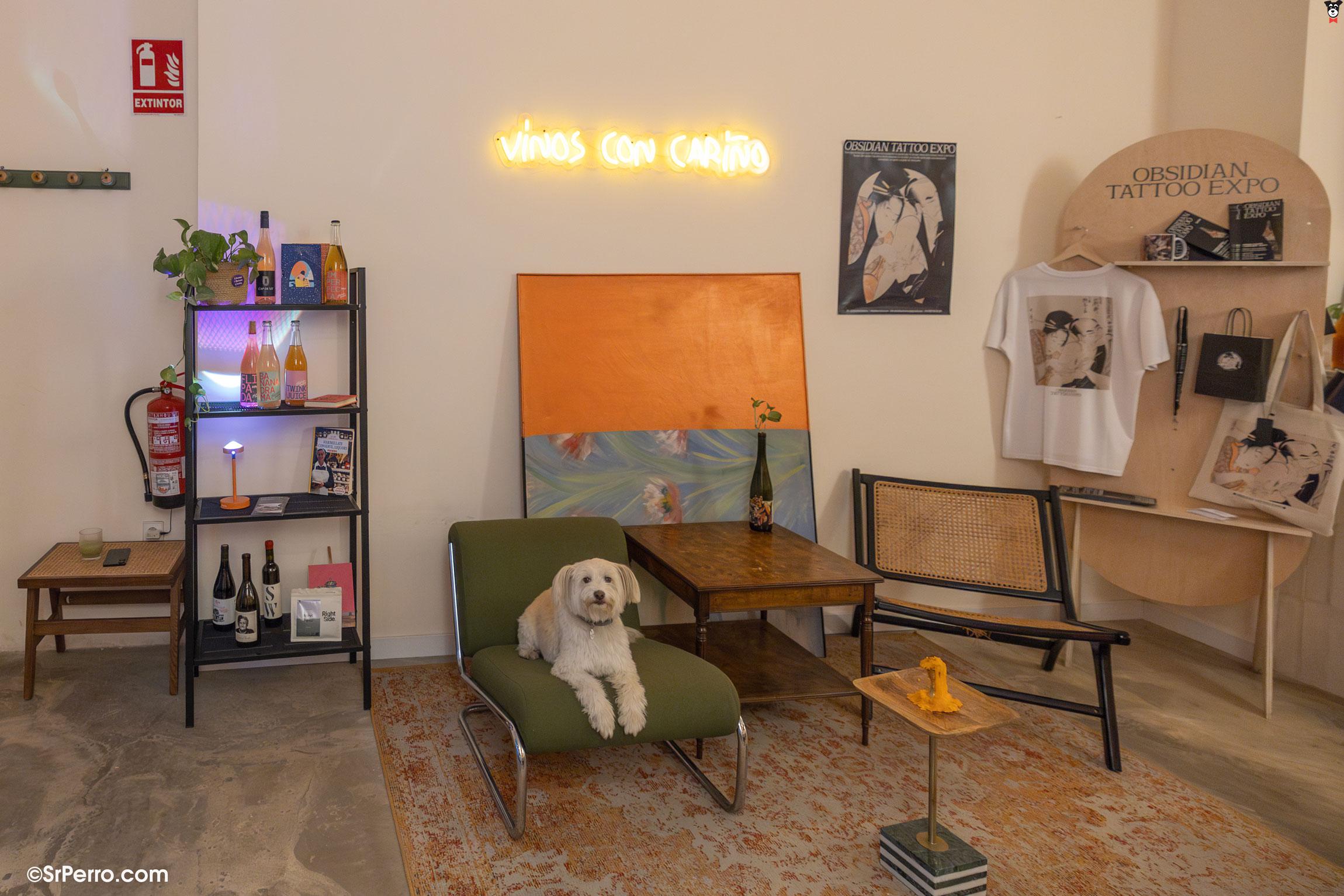 gallery-active-img