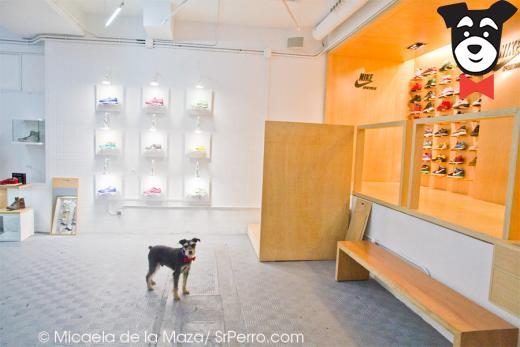 gallery-active-img