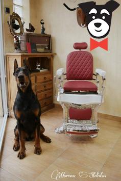 gallery-active-img
