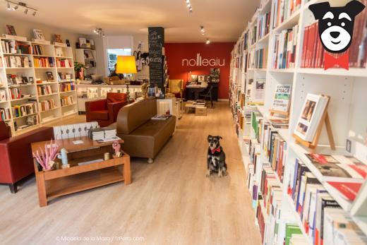 gallery-active-img